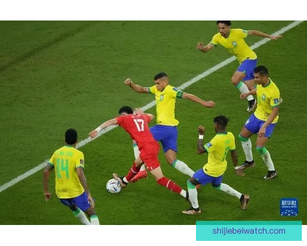 从历史战绩到传奇球星全面梳理世界杯资料与经典瞬间全景百科指南